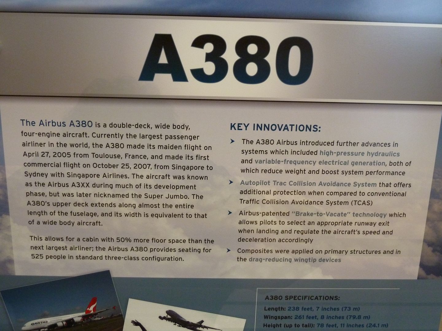 P1020176.jpg