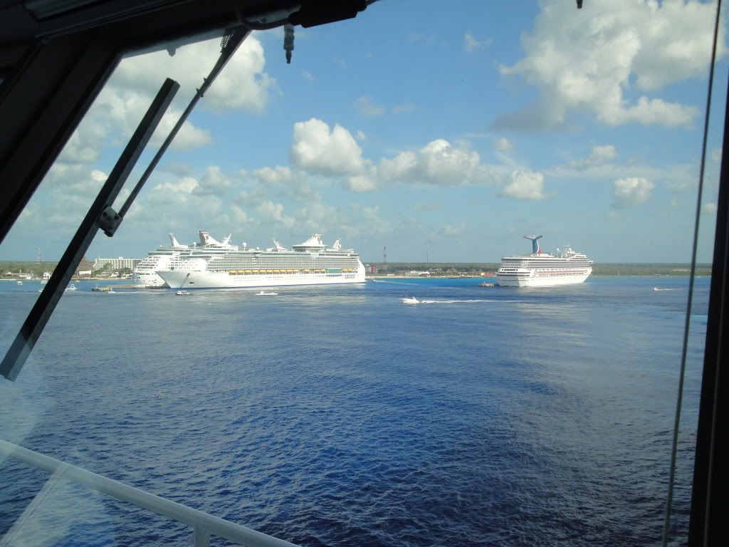 DSC05825.jpg