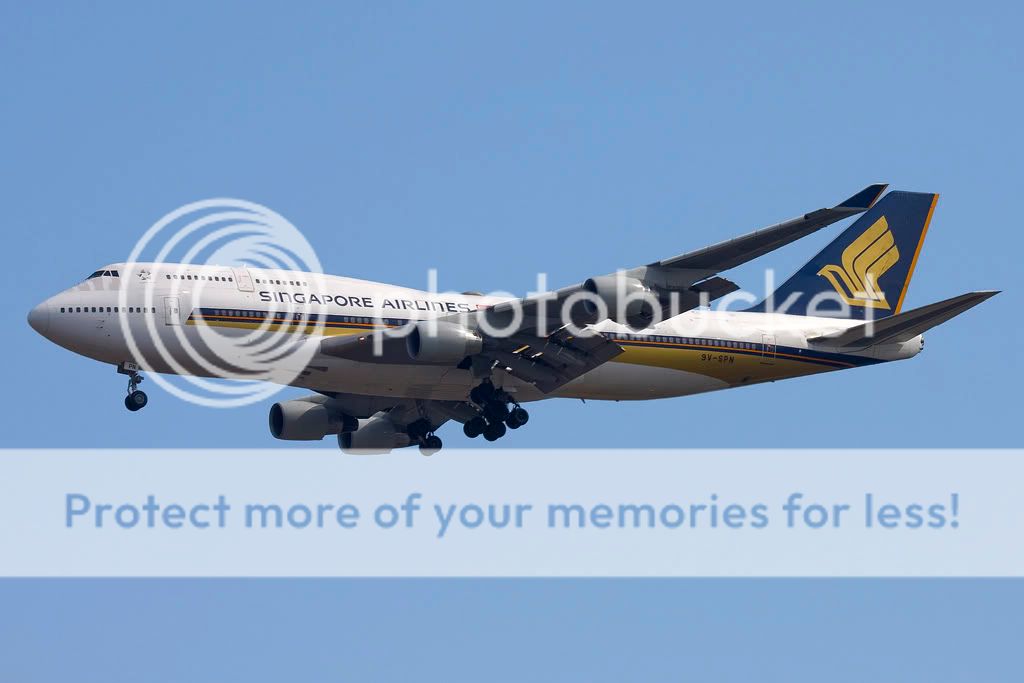 IMG_8366-9V-SPN.jpg