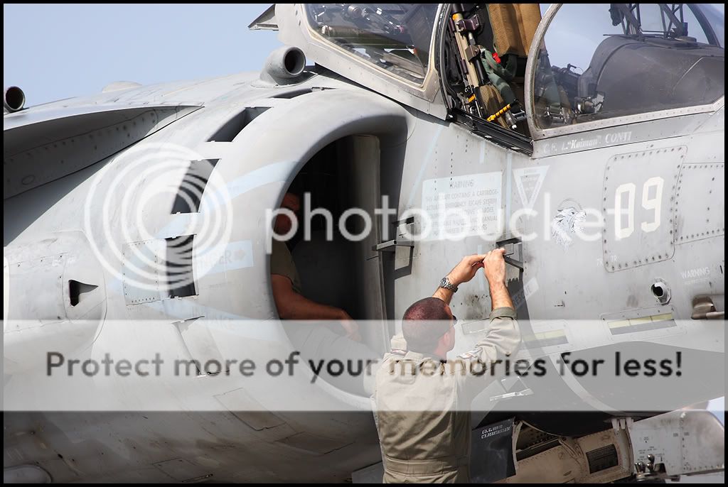 001_HARRIER__jf.jpg