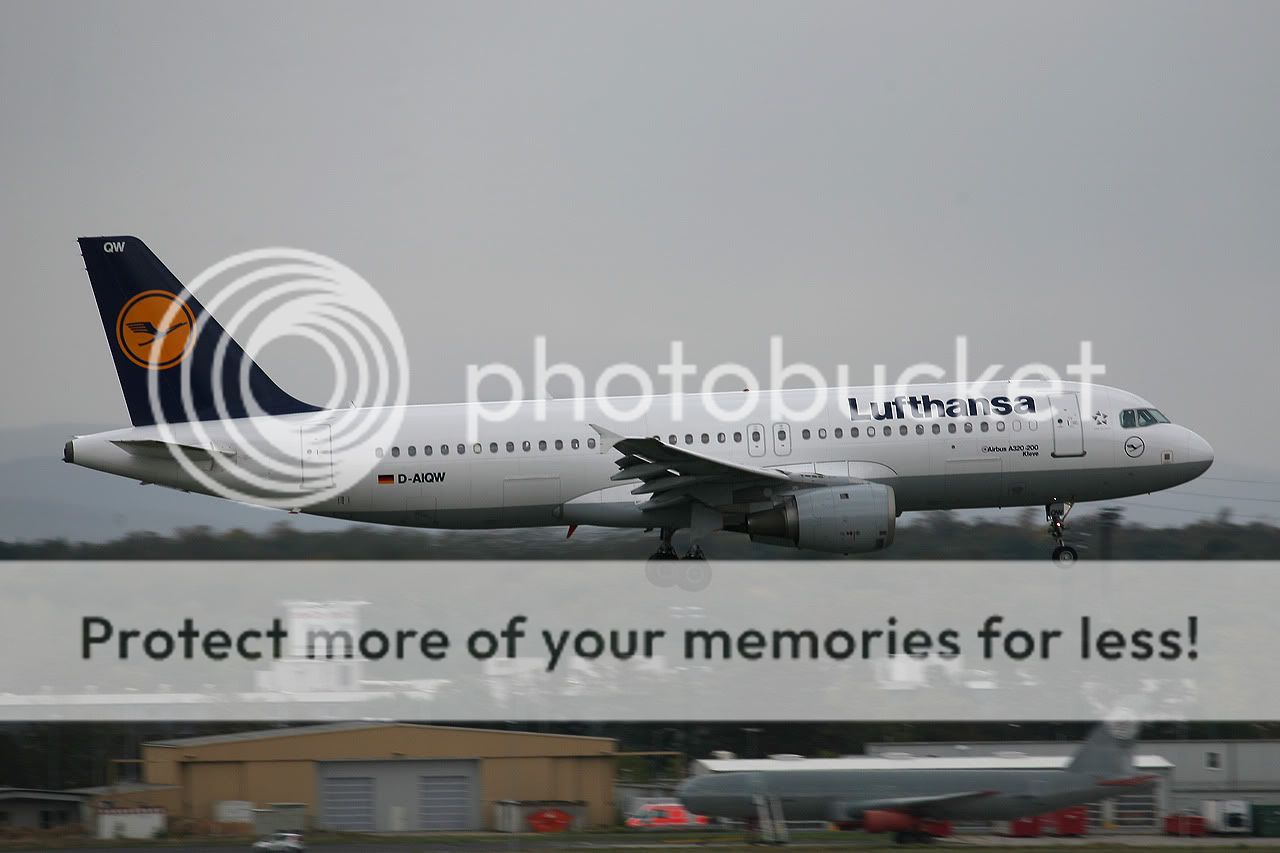 IMG_4087_m.jpg