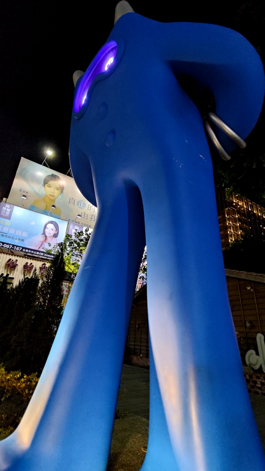 305.jpg