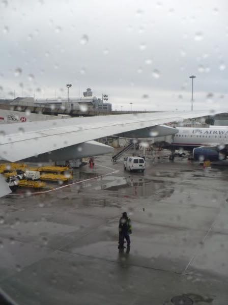 P1020142-1.jpg