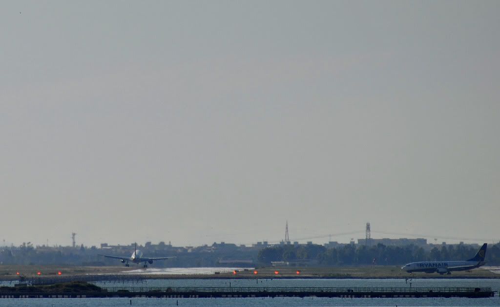 DSC_0484.jpg