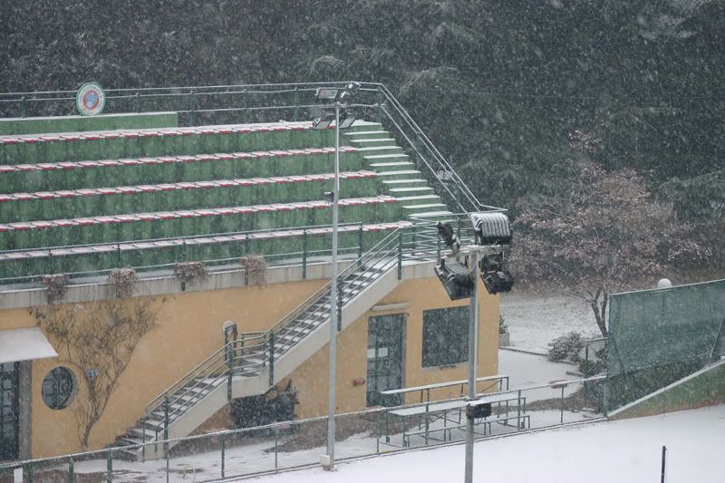 neve.jpg