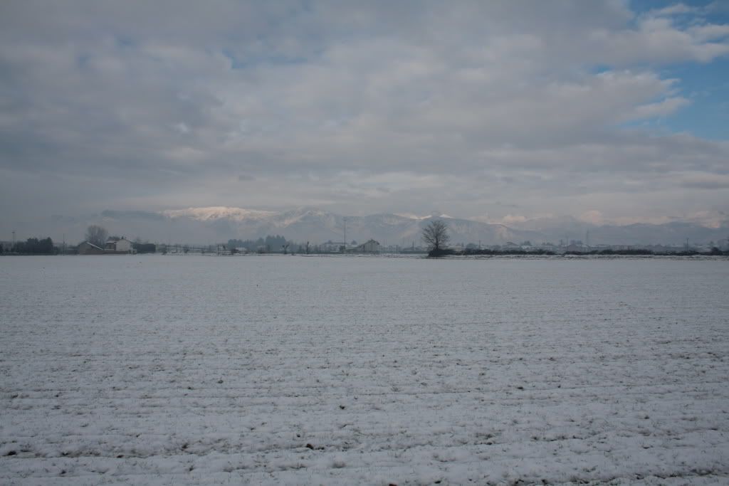 neve-7.jpg