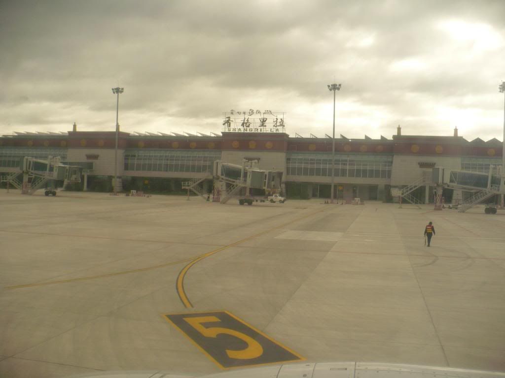 P1010393.jpg