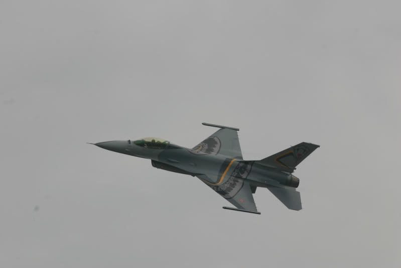 IMG_0958.jpg