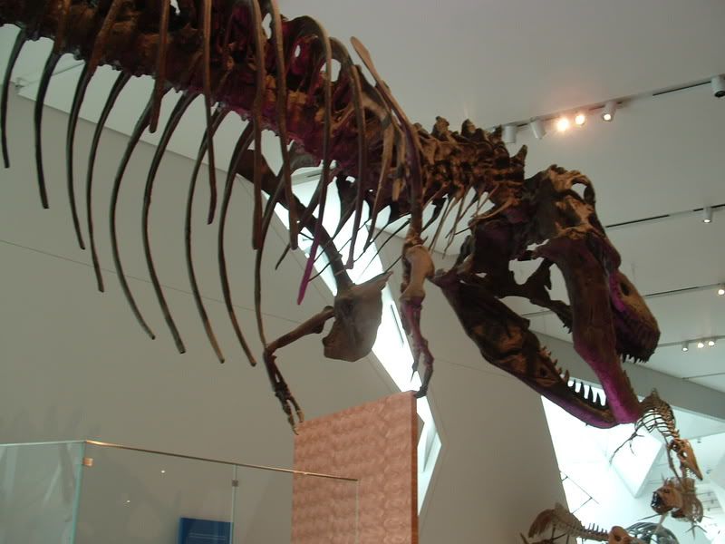 DSCF0828.jpg