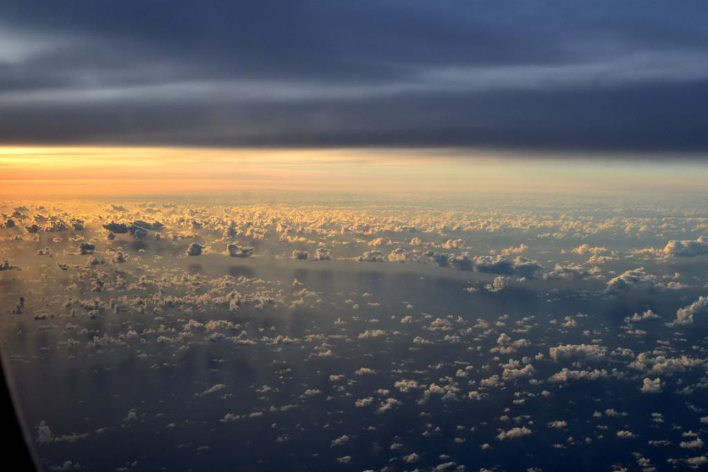 DSC_0132.jpg