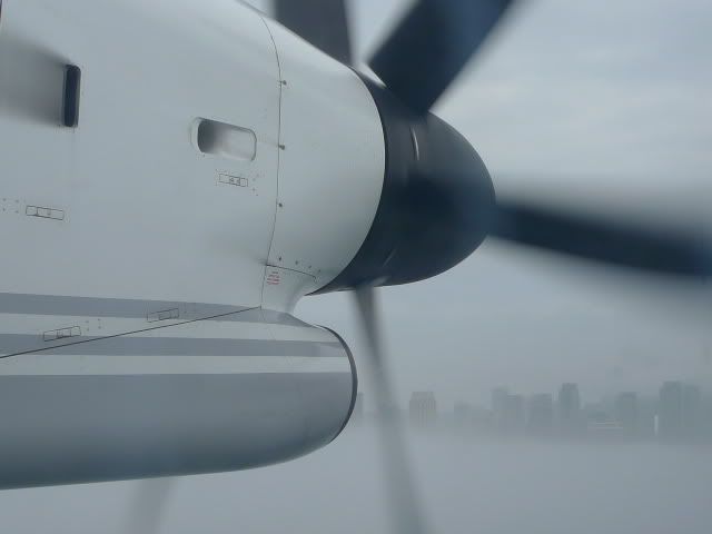 L1010612.jpg