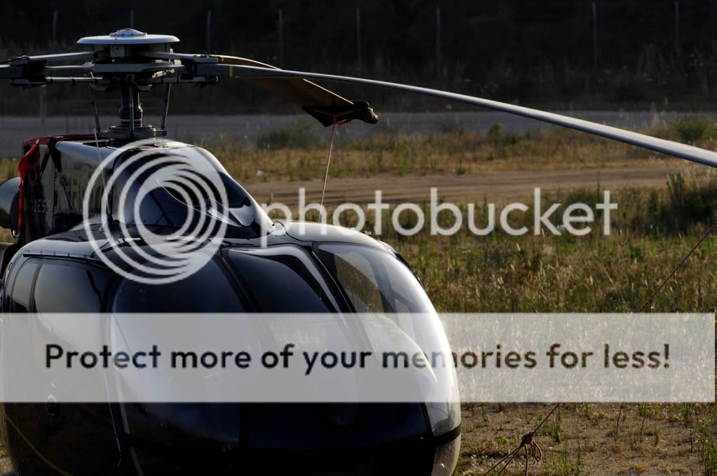 _STE9420.jpg
