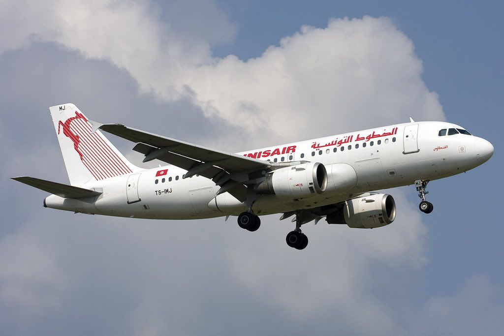 TS-IMJ.jpg