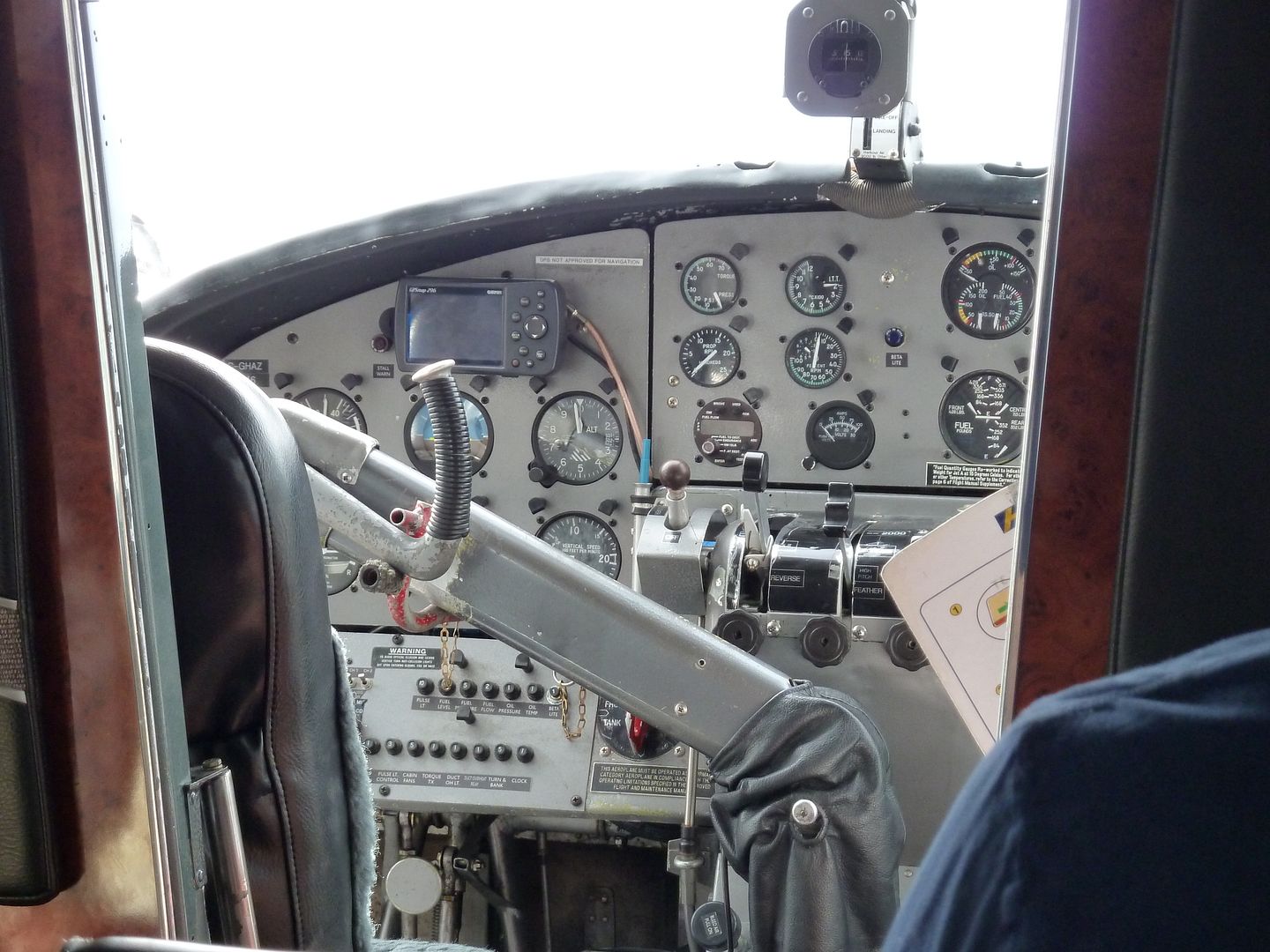 P1010364.jpg