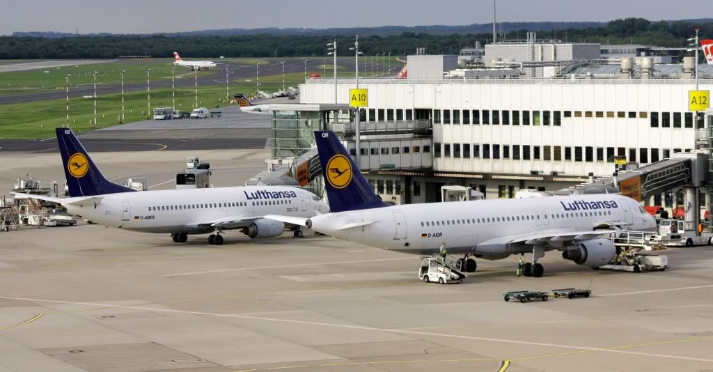 dus15-1.jpg