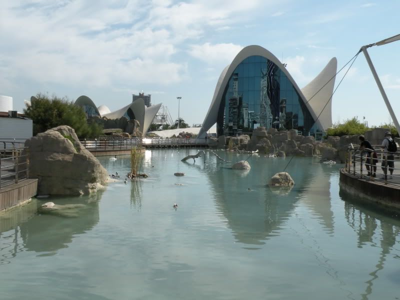 DSCN9073.jpg