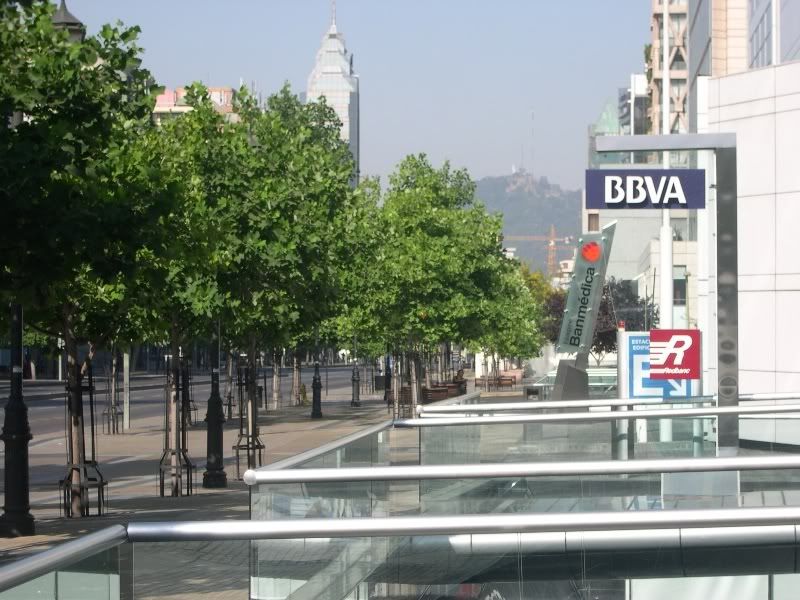 DSCN2769.jpg