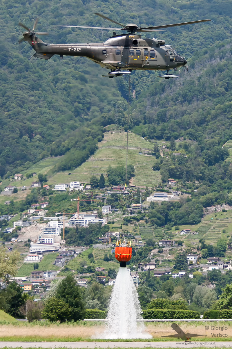 _MG_8067_310514.jpg