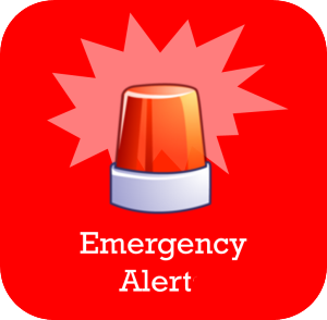 EmergencyAlerts_5-300x294.png