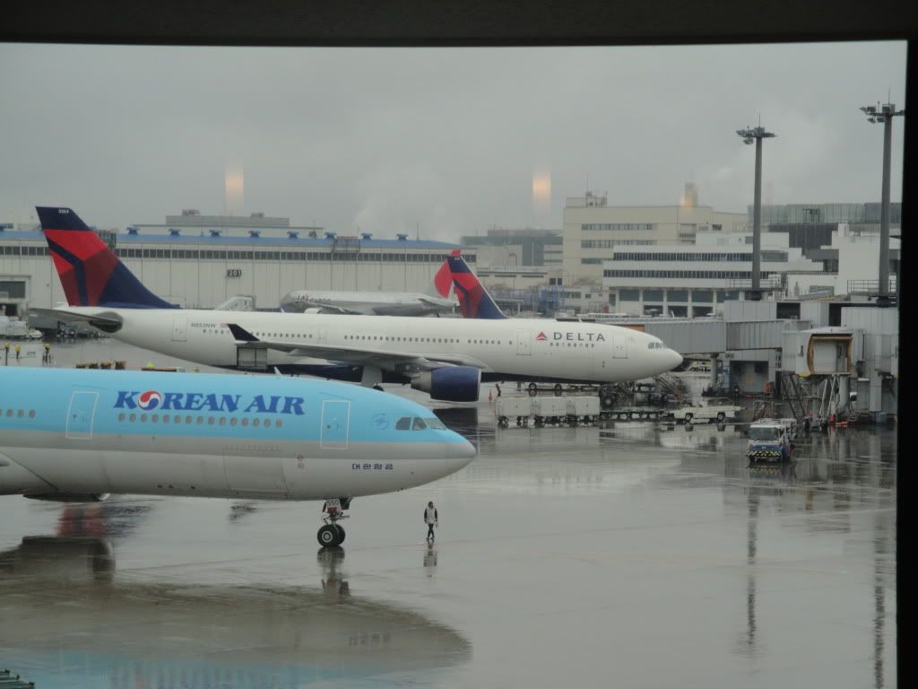 DSC01870.jpg