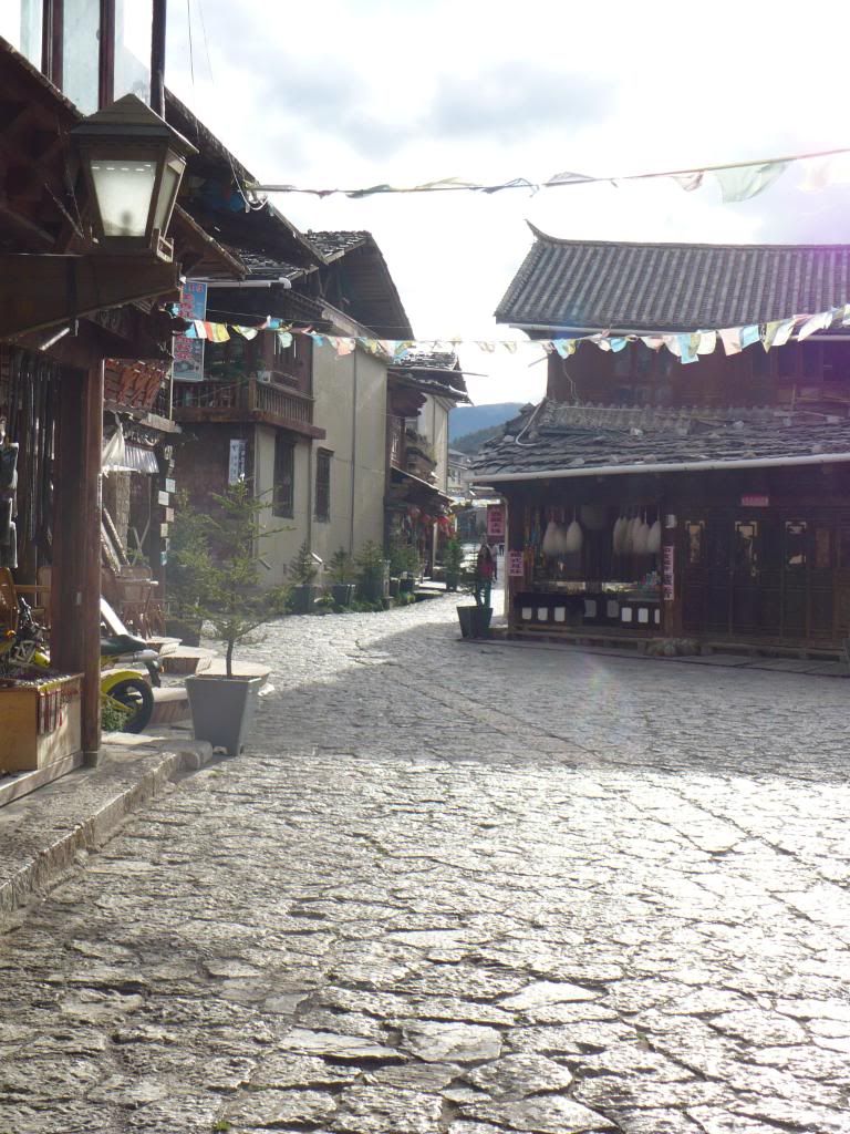 P1010345.jpg