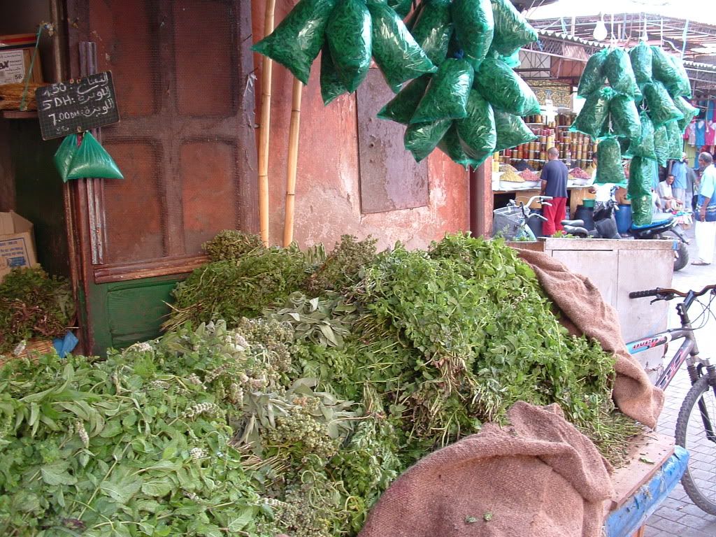 DSCF0219.jpg