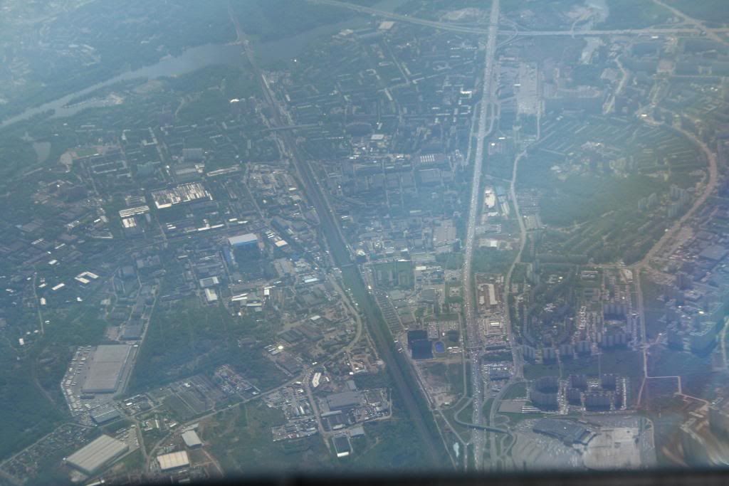 mosca54.jpg