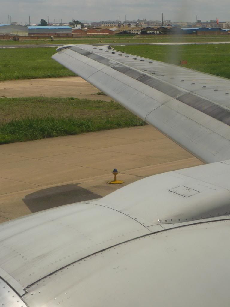 P1010447.jpg