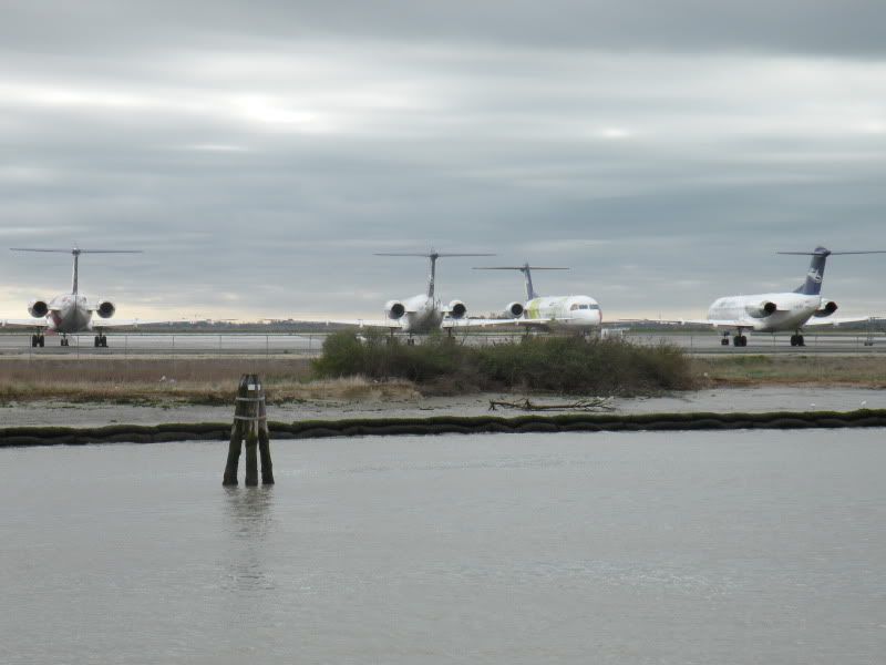 DSCN4572.jpg