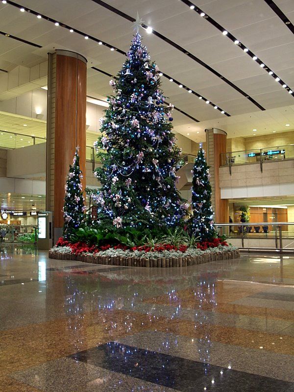 DSCF8169.jpg