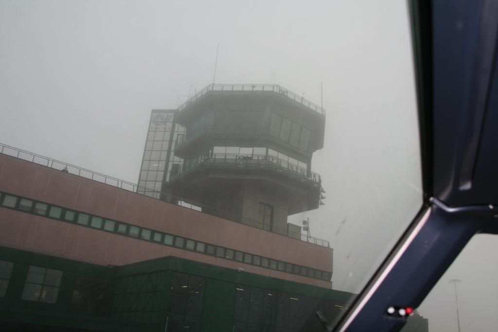 mosca4.jpg