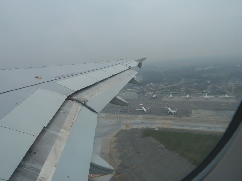 P1000238.jpg