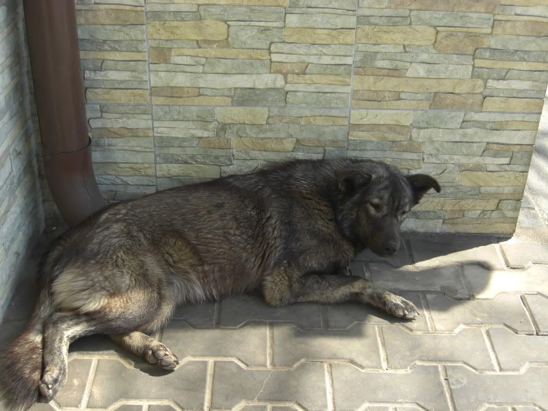 CIMG8376.jpg