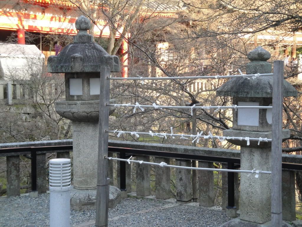 DSC01598.jpg