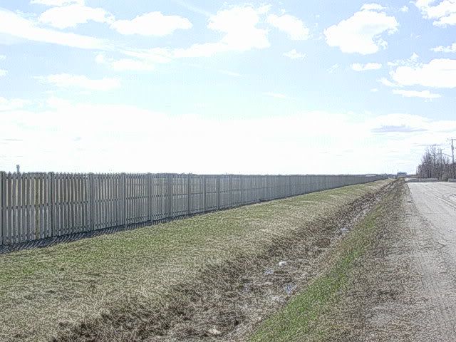 DSCN8876.jpg