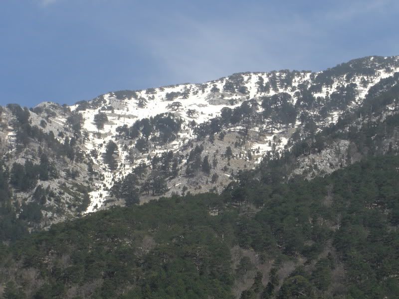 CIMG8163.jpg