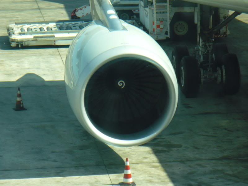 P1000208.jpg