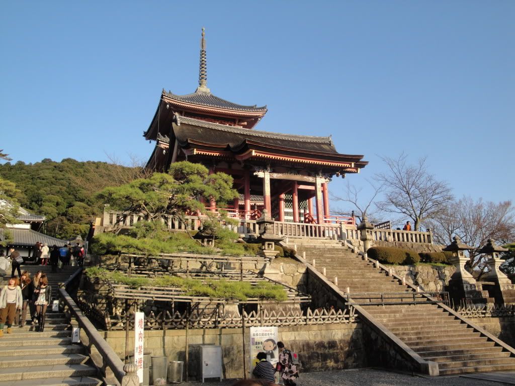 DSC01584.jpg