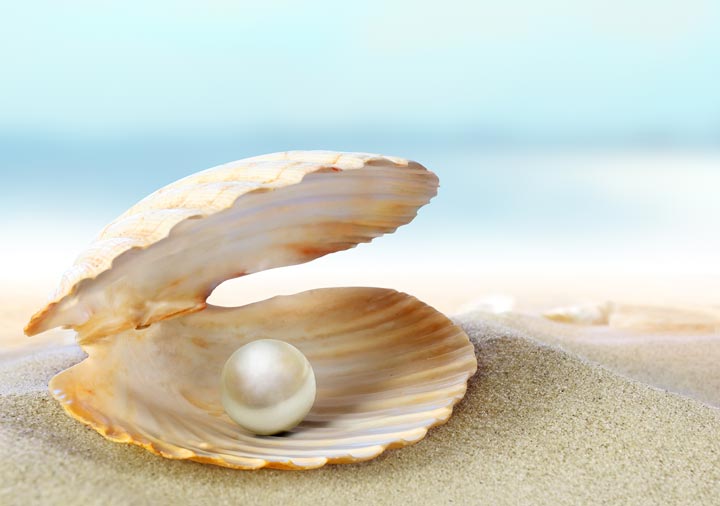 perla-conchiglia-spiaggia-PJmagazine.jpg
