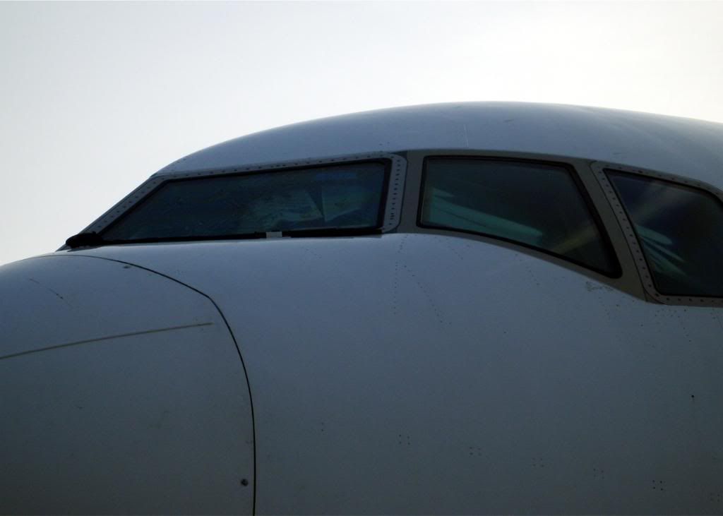 S8300173b.jpg