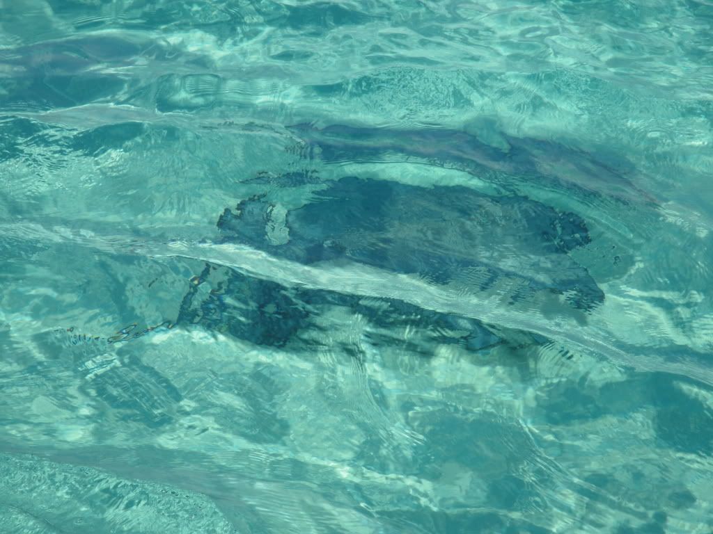 DSC05603.jpg