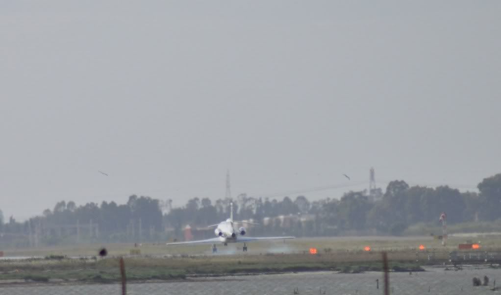 DSC_3438.jpg