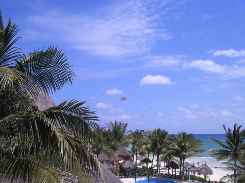 05032009001.jpg