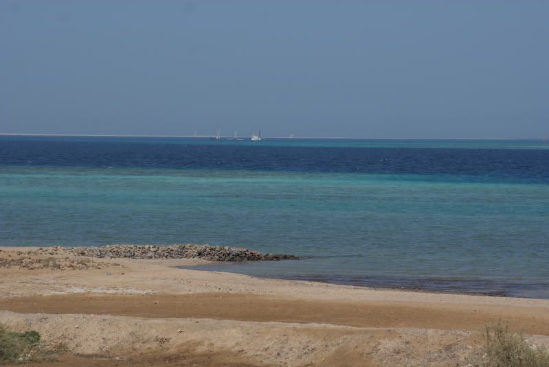 DSC00470.jpg