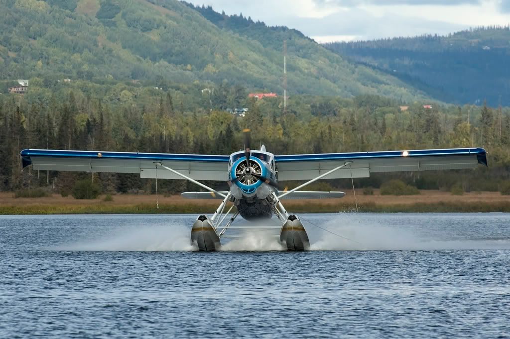 DSC_3953.jpg