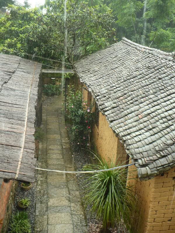P1000662.jpg