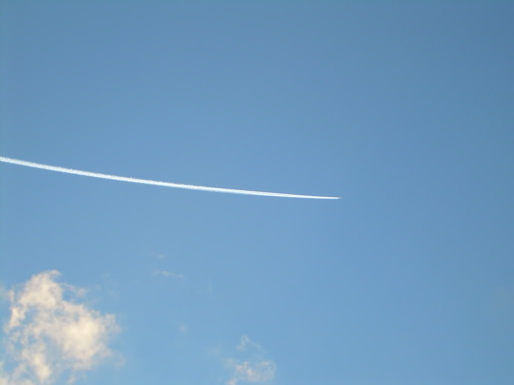 DSCN0336.jpg