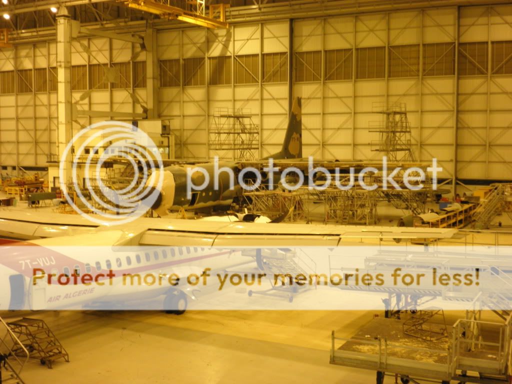 PA290334.jpg
