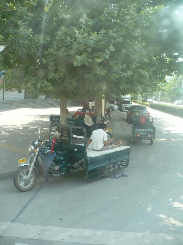 P1010569.jpg
