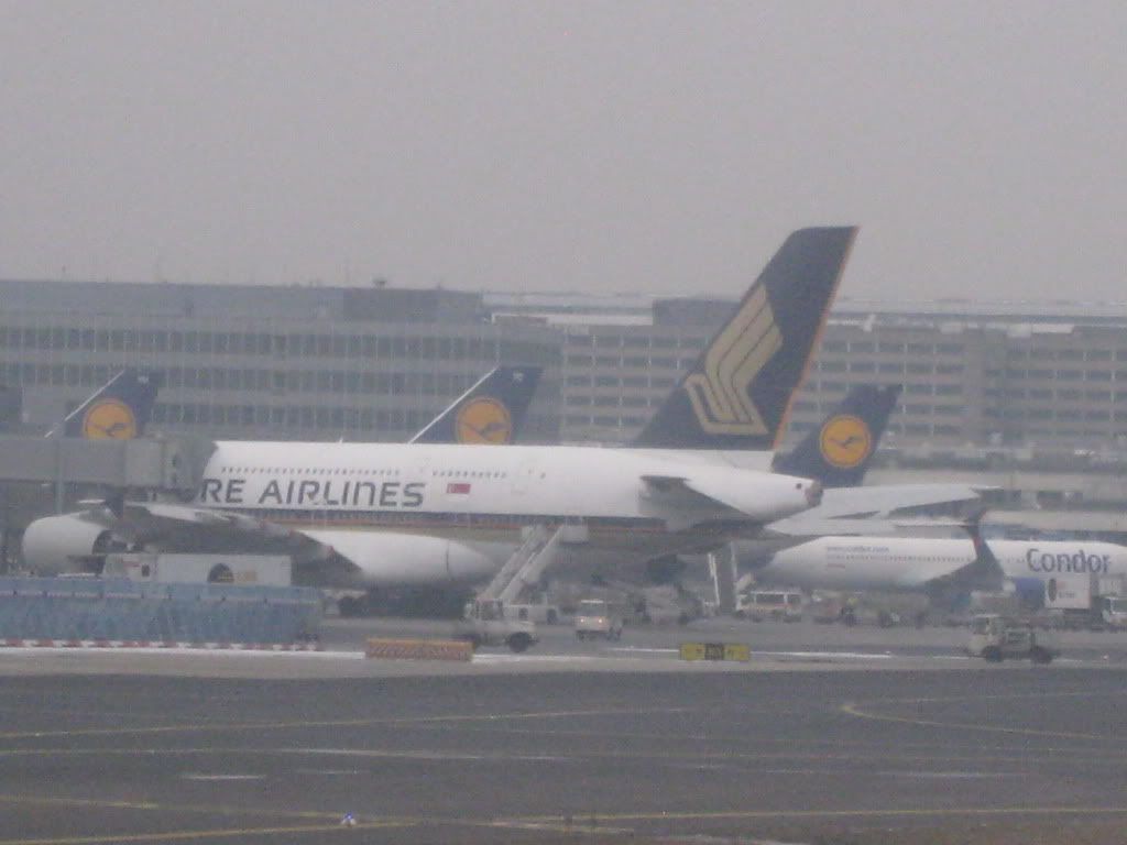 123.jpg